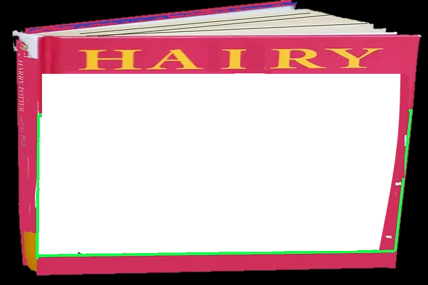 harry222.png